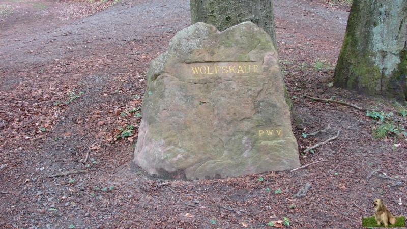 Ritterstein Nr. 147-2 Wolfskaut.JPG - Ritterstein Nr.147  Wolfskaut                               